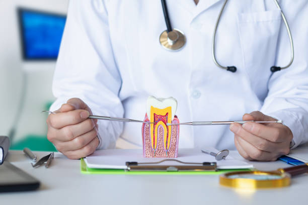Best Mobile Emergency Dentist in Homestead Valley, CA
